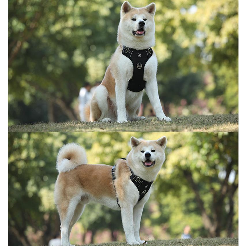 数量限定価格 ハーネス 胴輪 単品 犬用 ドッグ ペット用品 小型犬 中型犬 反射ステッチ ハンドル付き お散歩 おしゃれ かっこいい シンブル お出かけ 外出 い3 650円 Aynaelda Com