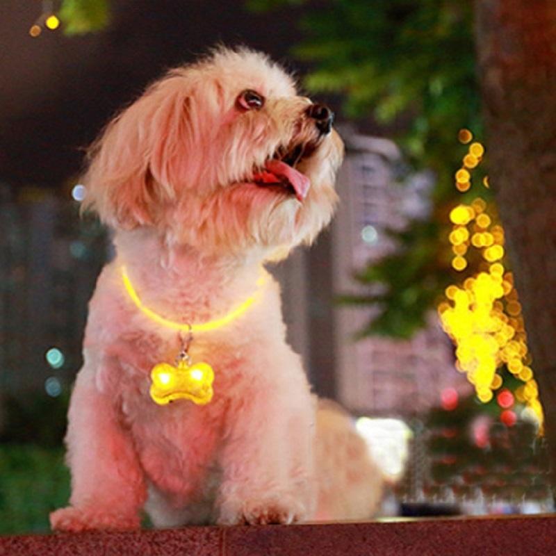 フォーペッツオンリー for pets only | ドッグウェア・キャリーバッグ