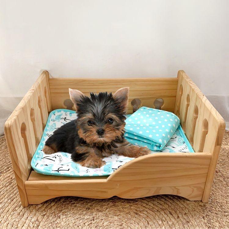 クールマット ペット ひんやりマット 冷却マット 敷きパッド 犬 猫 ペット用品 暑さ対策 熱中症対策 かわいい おしゃれ おりたたみ コンパクト 涼 プラスナオ Paypayモール店 通販 Paypayモール