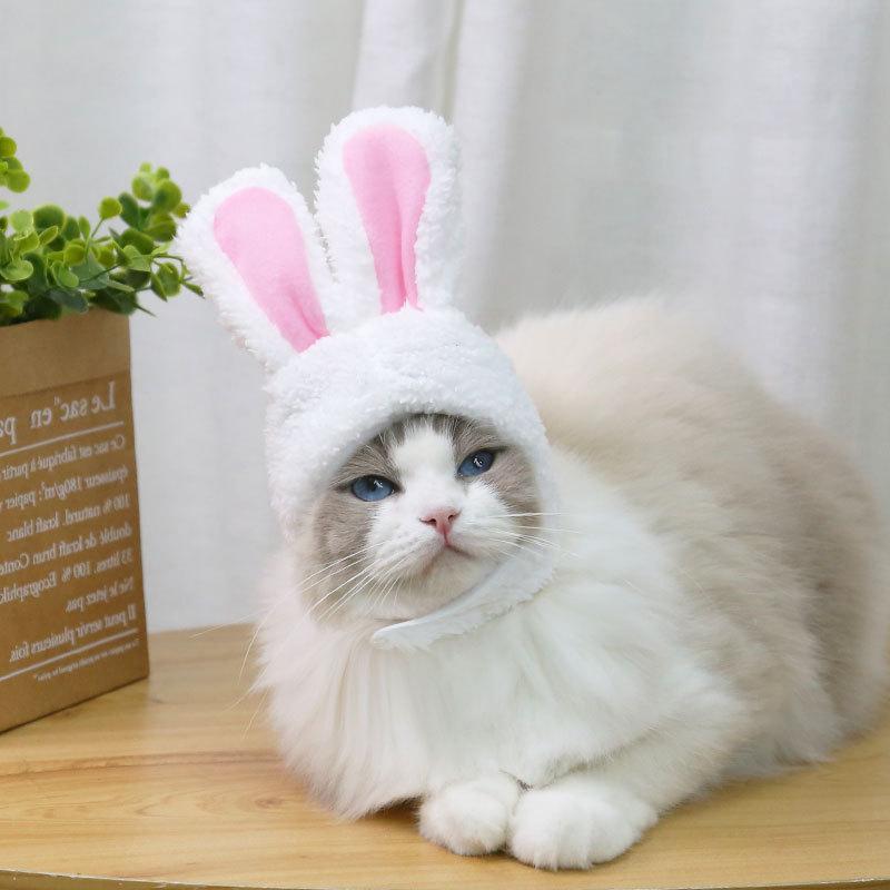 plusnao ペット用帽子 コスプレ 猫 小型犬 かぶり物 ペット用品