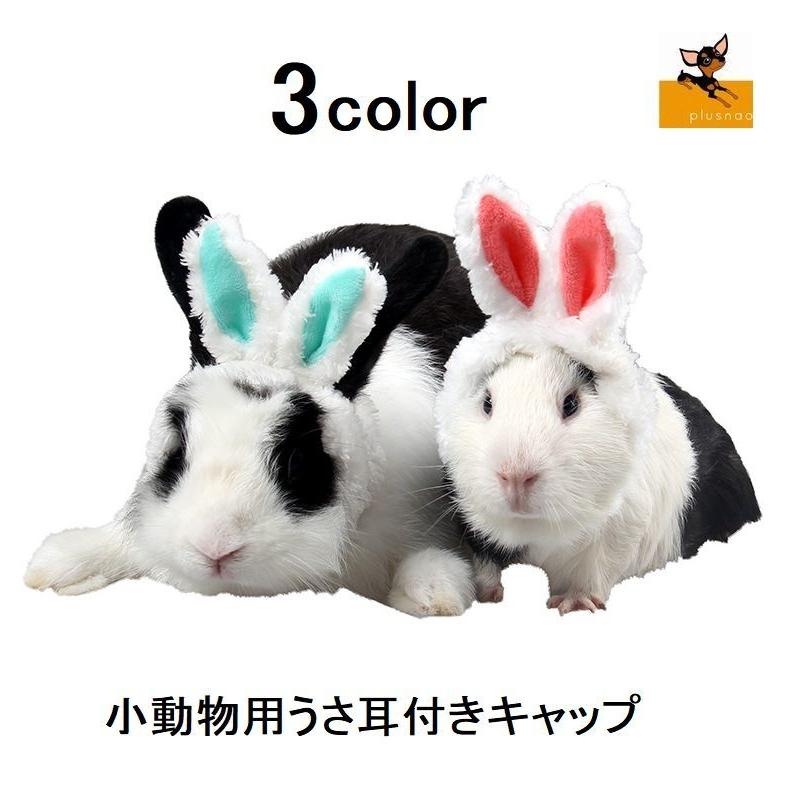 パンジーの花びらをうさぎに与えても大丈夫？