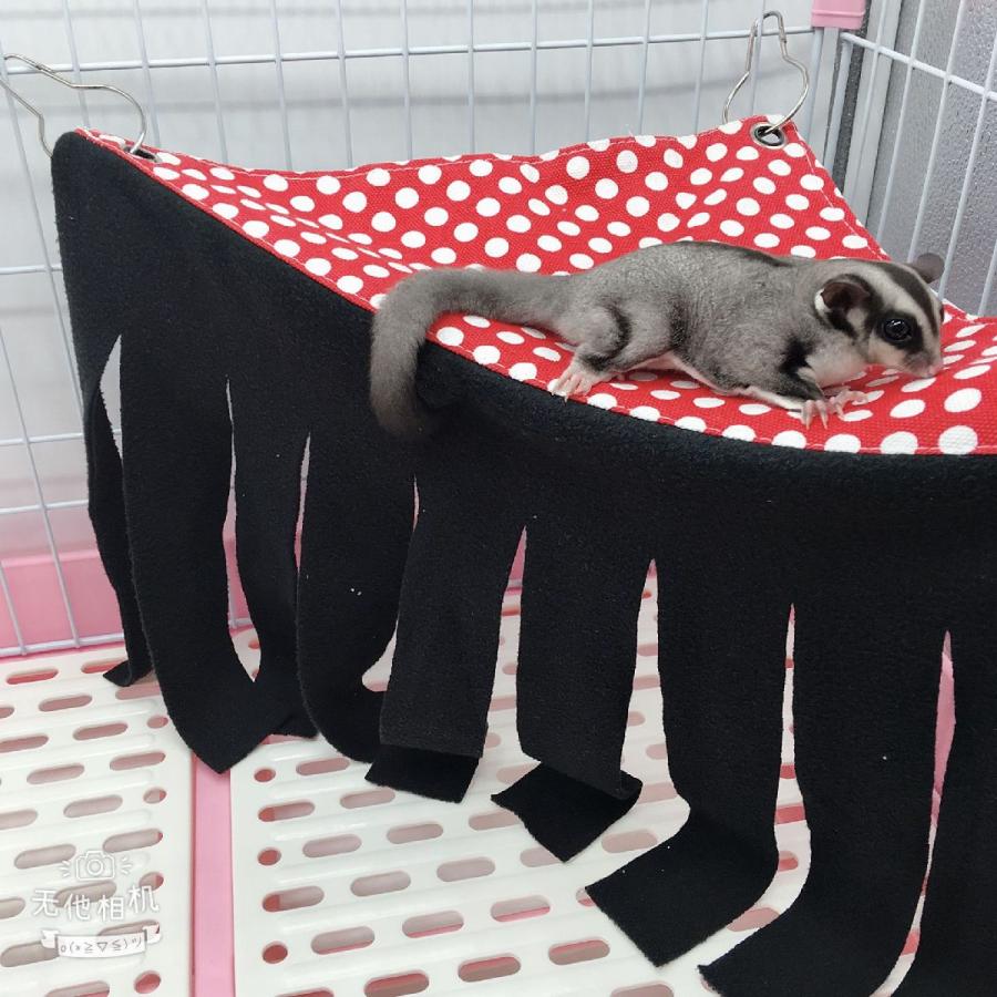 猫、小動物用のハンモック 猫、小動物用のハンモック Amazon.co.jp: PureStore Direct