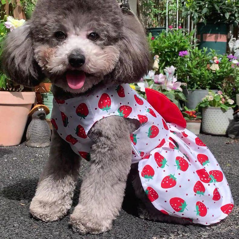 ペットウェア ドッグウェア ワンピース 小型犬 犬服 猫服 ドッグ キャット 前開き フロントボタン ノースリーブ 袖なし かわいい 総柄 リボン キ｜plusnao｜02