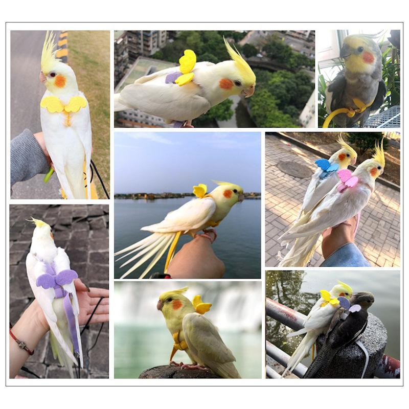 鳥用ハーネス リード ペット用品 ペットグッズ オウム 鸚鵡 インコ ハト 縄 ロープ 調節可能 天使 羽 翼 かわいい お散歩 お出かけ トレーニン プラスナオ Paypayモール店 通販 Paypayモール