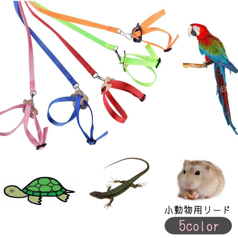 plusnao ハーネスリード 小動物用リード お散歩リード 小鳥