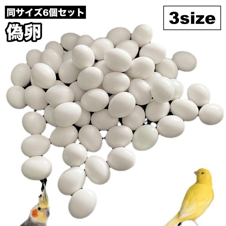 偽卵 擬卵 6個セット ダミー卵 フェイク卵 小鳥 愛鳥 オカメイインコ