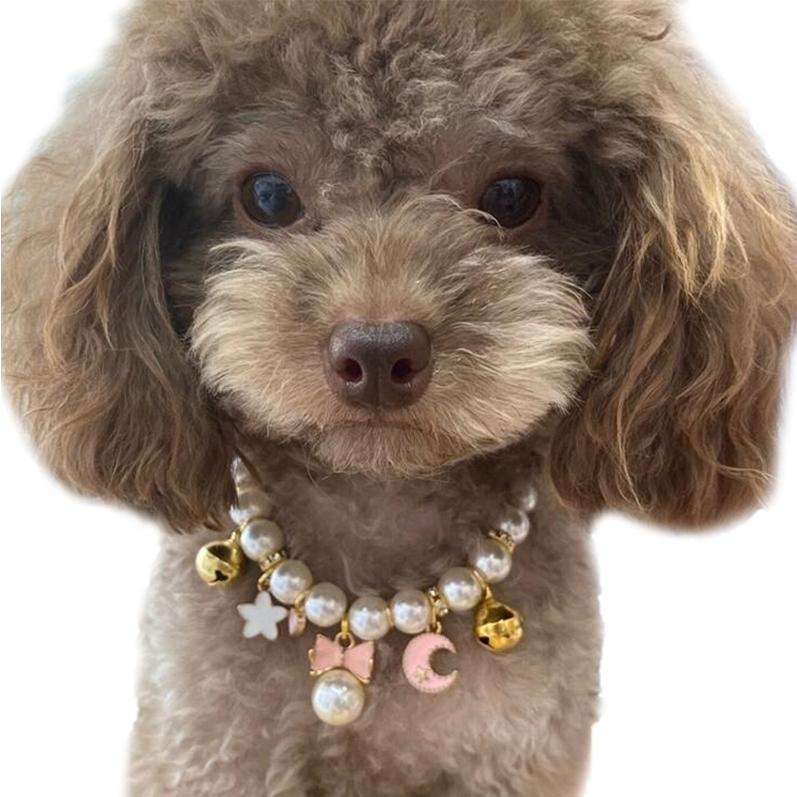 plusnao（プラスナオ） ペット用チョーカー ネックレス ペット用品