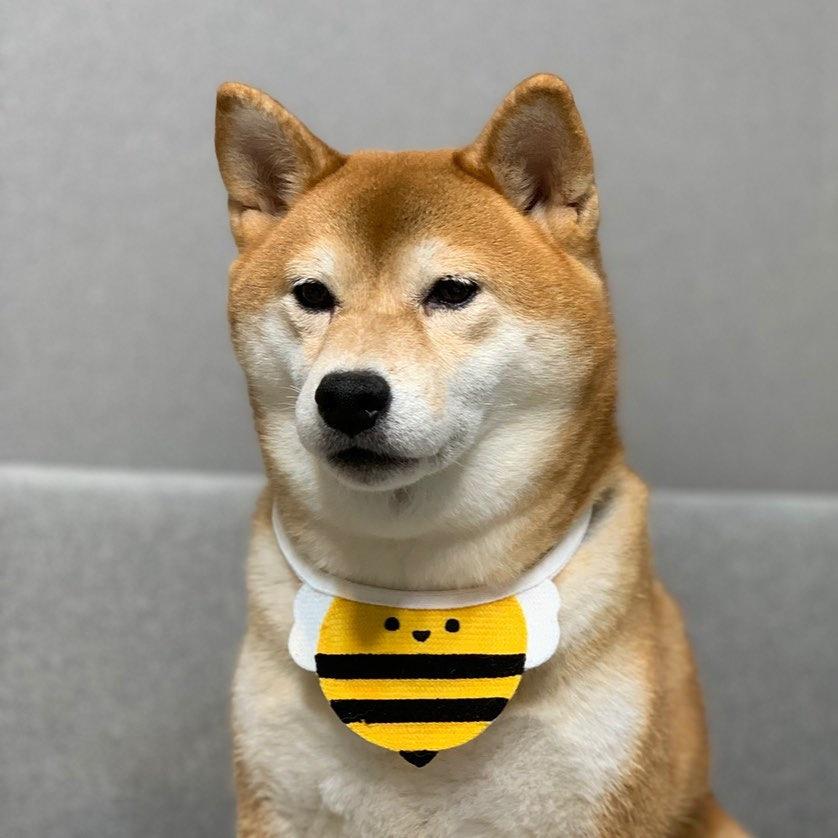 ペット用スタイ よだれかけ 犬用 猫用 つけ襟 首飾り フラワー 花 蜂