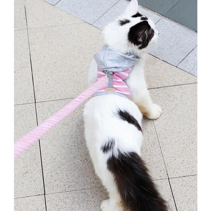 毎日続々入荷 ハーネス リード 2点セット 猫用 犬用 ペットグッズ 胴輪 散歩紐 リーシュ ボーダー柄 フード付 バックル マジックテープ カジュアル おしゃれ Riosmauricio Com