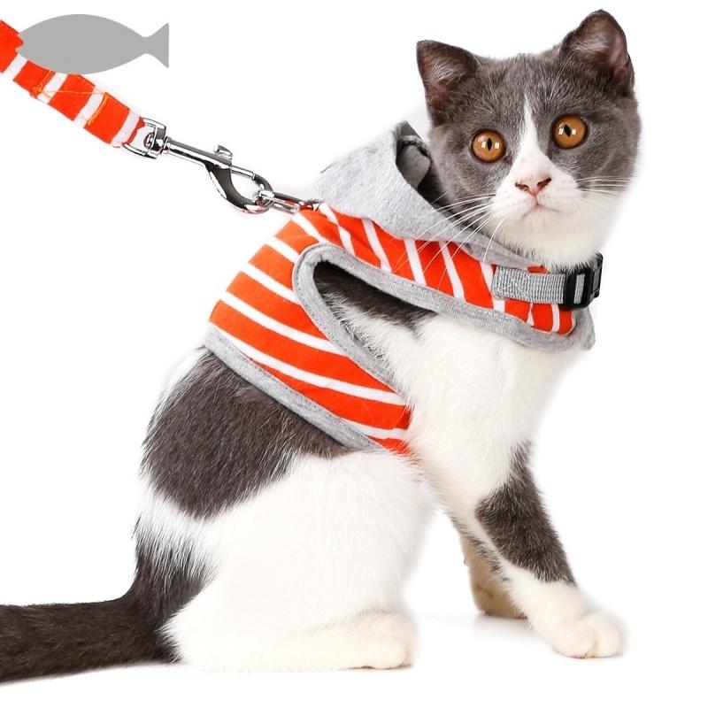 毎日続々入荷 ハーネス リード 2点セット 猫用 犬用 ペットグッズ 胴輪 散歩紐 リーシュ ボーダー柄 フード付 バックル マジックテープ カジュアル おしゃれ Riosmauricio Com