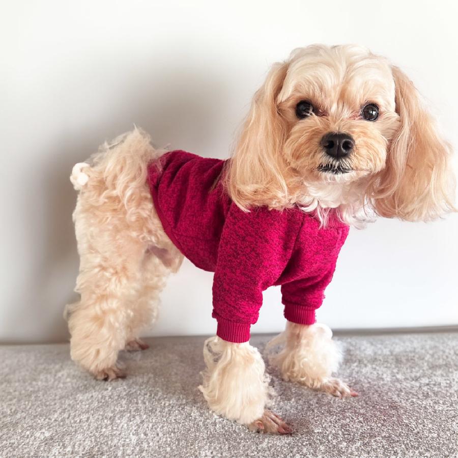 カラー裏毛ニット　犬の服 犬服｜毛布に包まれたような、優しいぬくもり。｜裏起毛ボンバー
