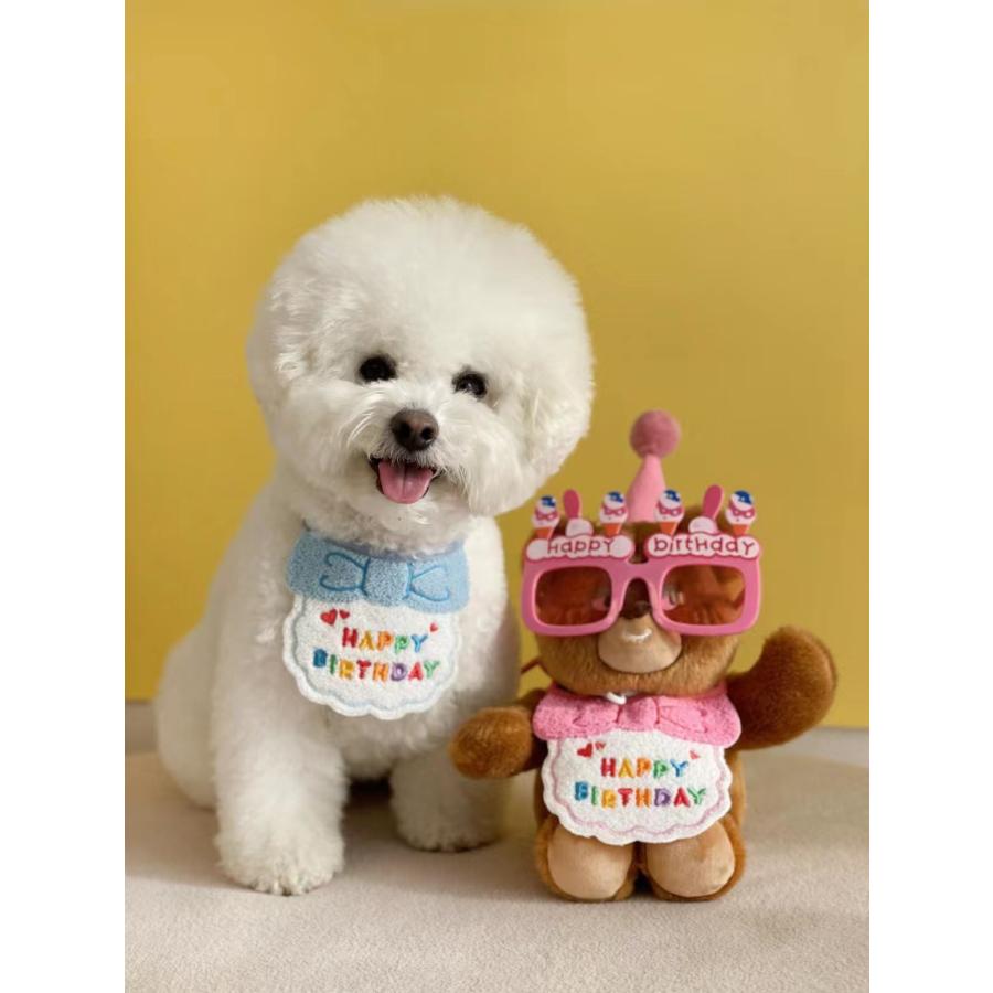 犬用バースデイスタイ帽子セット 猫用バースデイスタイ帽子セット ドッグウェア キャットウェア ペットウェア よだれかけ 誕生日 お祝い