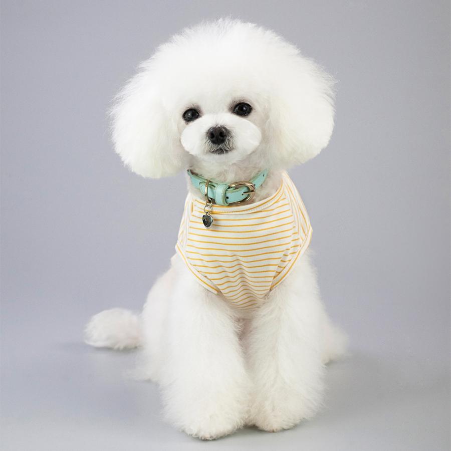 ペット服 Tシャツ 犬 猫 小型犬 ペットウエア ボーダー イラスト しろくま お散歩 お出掛け ペット用品 ドッグ キャット 春 夏 プラスナオ Paypayモール店 通販 Paypayモール