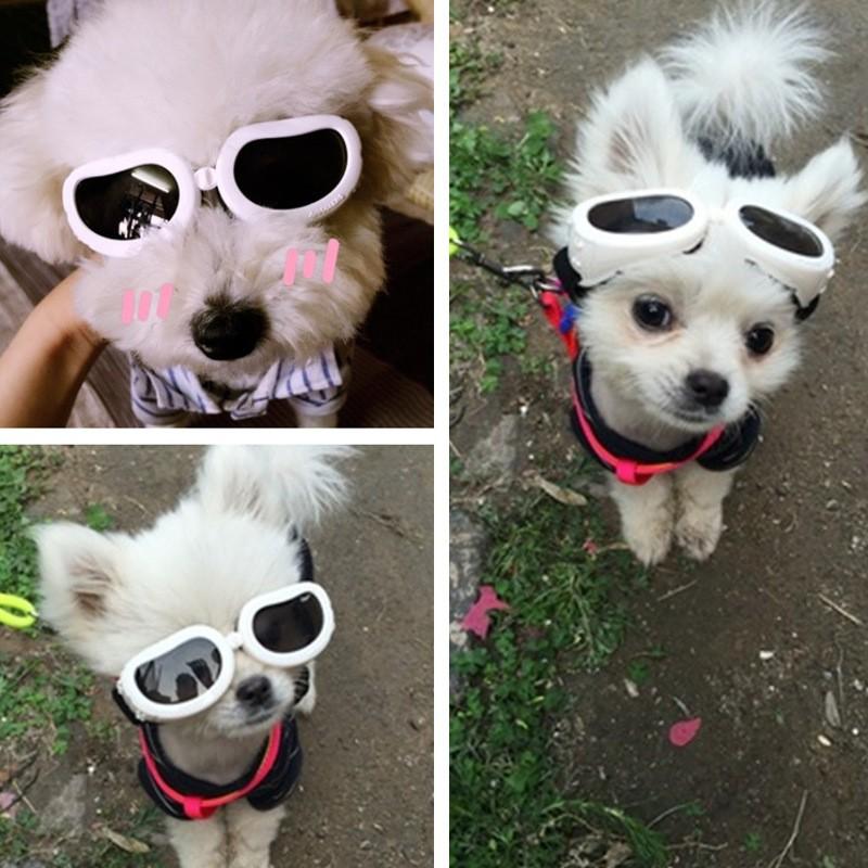 犬用ゴーグル 犬用サングラス ペット用 メガネ イヌ ワンちゃん 猫