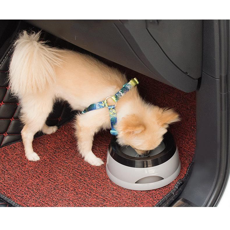 市場 犬 猫 のための フィルター の と 活性炭 ペット 噴水