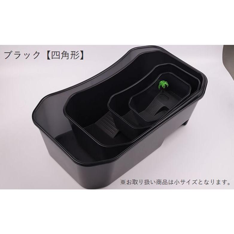 亀用飼育ケース 小サイズ ペット用品 カメ 水槽 飼育ケージ タートル