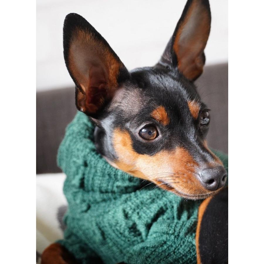 ペットウエア ケーブルニット セーター 犬 猫 小型犬 タートルネック ハイネック 袖あり 秋 冬 防寒 単色 シンプル ベーシック ドッグウエア キ Pet プラスナオyahoo 店 通販 Yahoo ショッピング