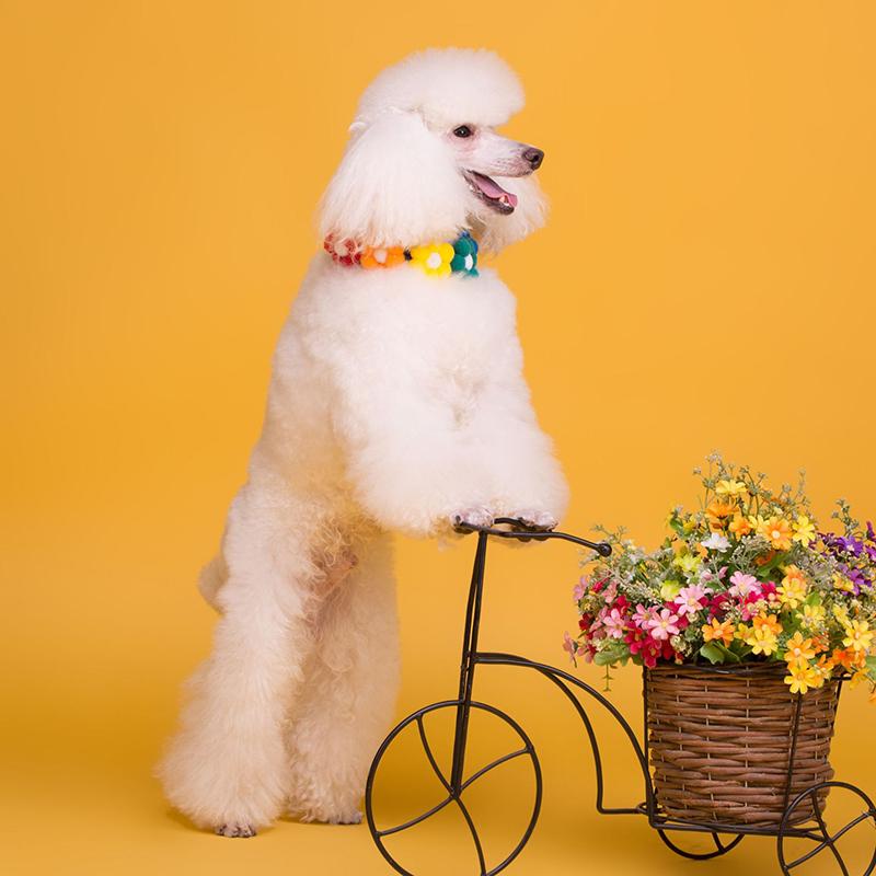 ペット用チョーカー 首飾り アクセサリー 犬用 猫用 小型犬 フラワー