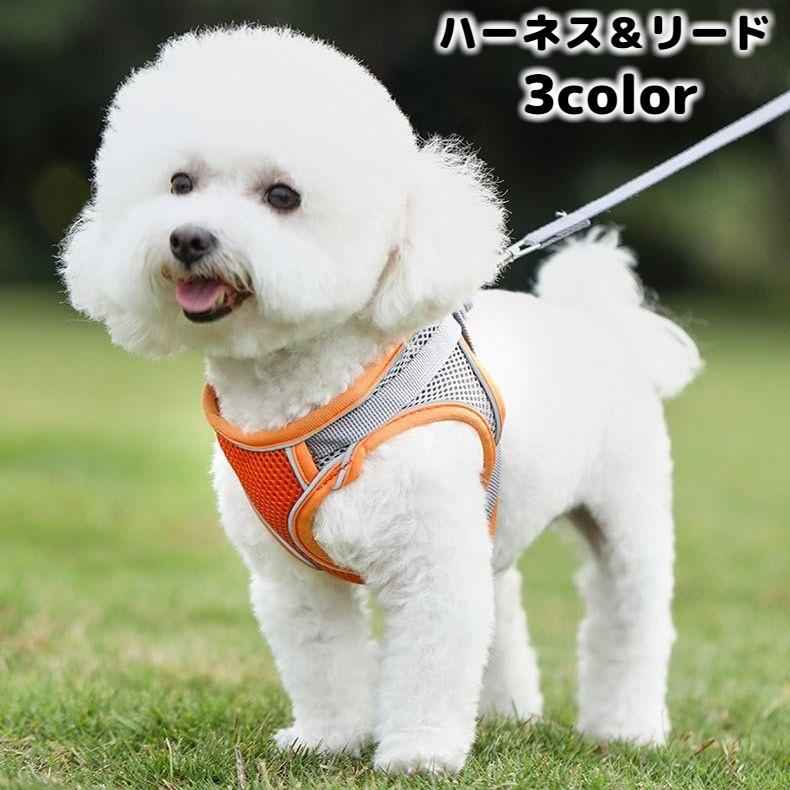 ハーネス リード 2点セット ペットグッズ ペット用品 犬用 猫用 リーシュ 散歩紐 お散歩グッズ お出かけ 牽引紐 反射材付き おしゃれ いぬ 小型 破格値下げ