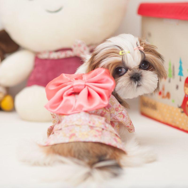 ペットウエア 浴衣 犬服 猫服 小型犬 コスプレ お出掛け おめかし 和装 着物 花柄 ピンク 黒 リボン 記念日 和風 ペット用品 犬グッズ 猫グッ｜plusnao｜02