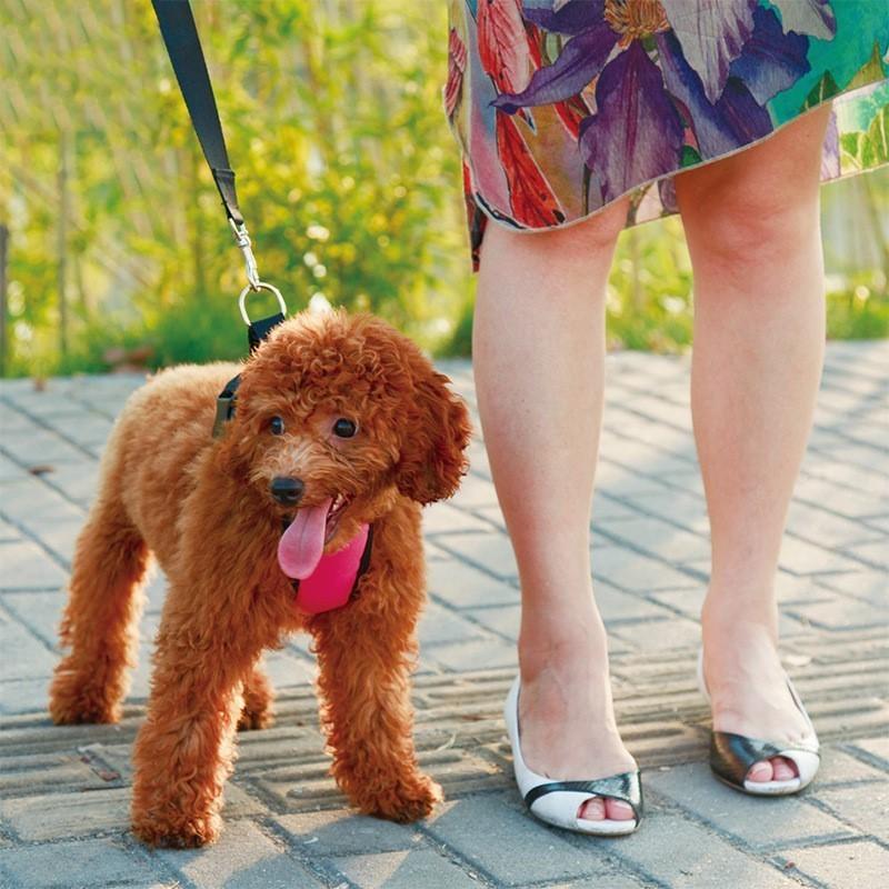 犬用シートベルト 犬用ハーネス 2点セット 小型犬 大型犬 ペットグッズ ペット用品 プラバックル 総柄 無地 ロゴプリント ピンク ブラック カジュ プラスナオ Paypayモール店 通販 Paypayモール