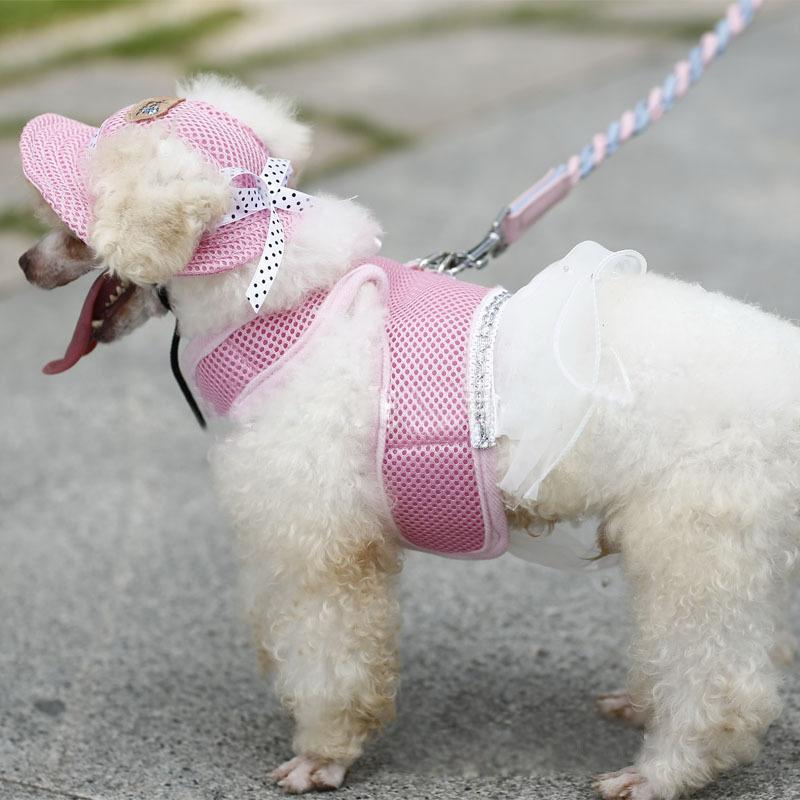 ふるさと納税 ペット用 犬用 帽子 ハット ドッグハット リボン 熱中症対策 夏バテ 日射病 防止 予防 日除け 日よけ メッシュ 花柄 無地 ガーリー ストライプ930円 Whitesforracialequity Org