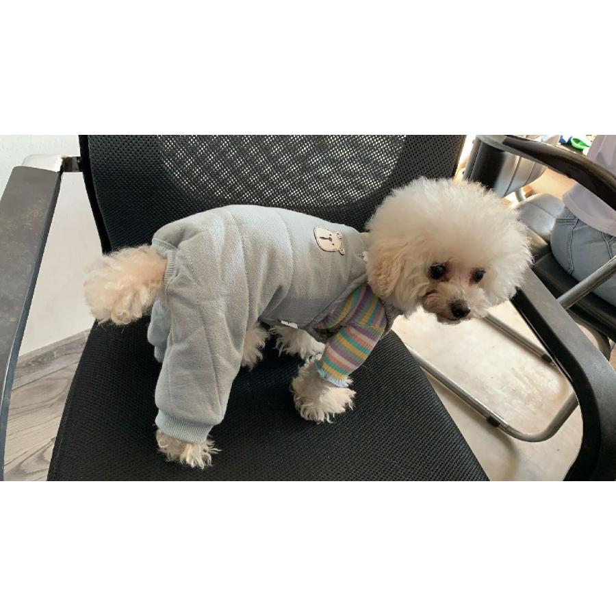 欲しいの ペットウェア ニット ペットグッズ ドッグウェア 小型犬 イヌ ネコ プルオーバー リブ メロウフリル ボーダー 横縞 おしゃれ Dprd Jatimprov Go Id