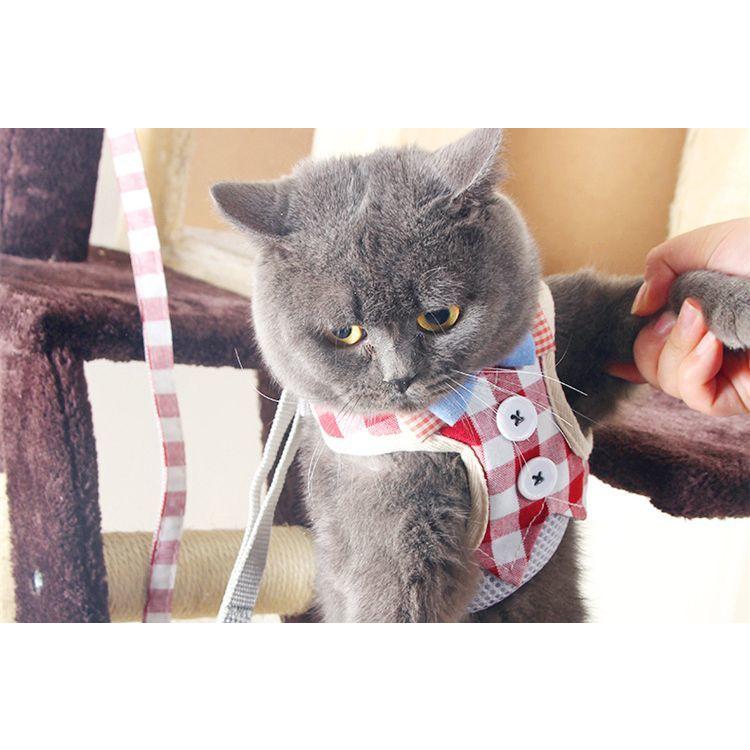 plusnao（プラスナオ） ハーネス リード 2点セット 猫用 ネコ ペット