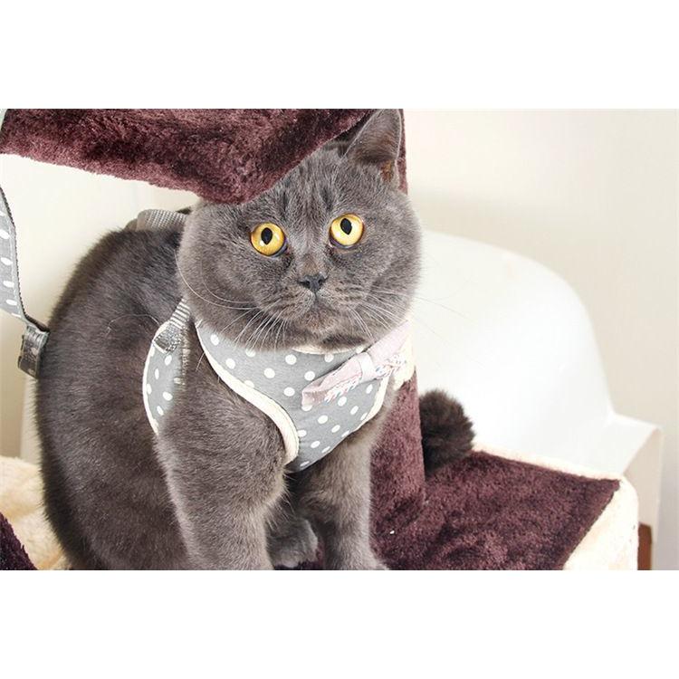ハーネス リード 2点セット 猫用 ネコ ペットグッズ 胴輪 散歩紐 牽引