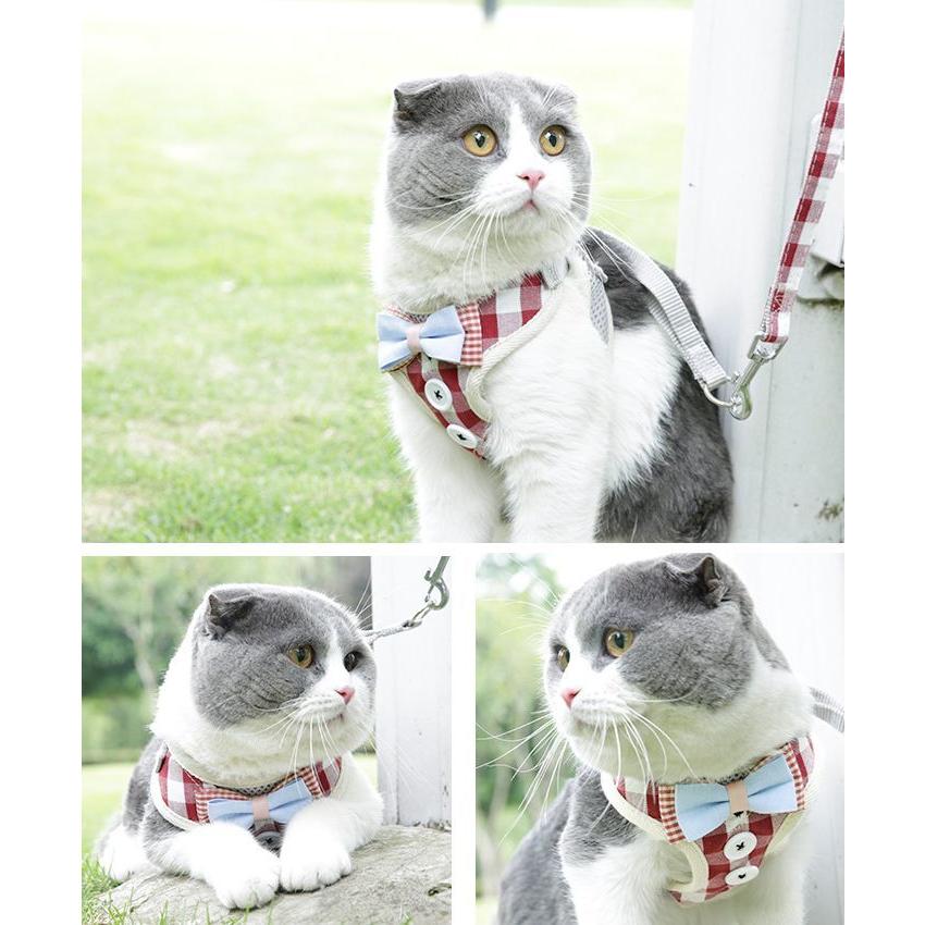 plusnao（プラスナオ） ハーネス リード 2点セット 猫用 ネコ ペット