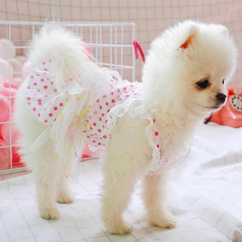 半額sale ドッグウェア ワンピース 犬服 犬用ウェア ペットウェア 洋服 小型犬 中型犬 猫 レース チュール メッシュ フリル 水玉柄 可愛い おしゃれ お散710円 Aynaelda Com
