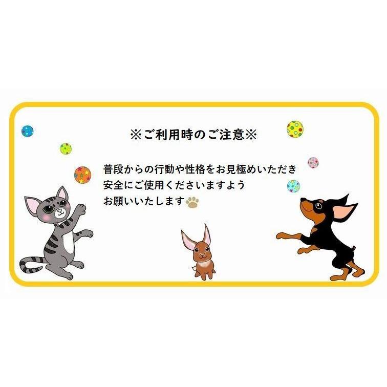 ペット用 おやつ おやつボール 犬用 知育 玩具 しつけ エサ 運動不足 犬 遊ぶ じゃらし 犬のおもちゃ 学ぶ 着後レビューで 送料無料