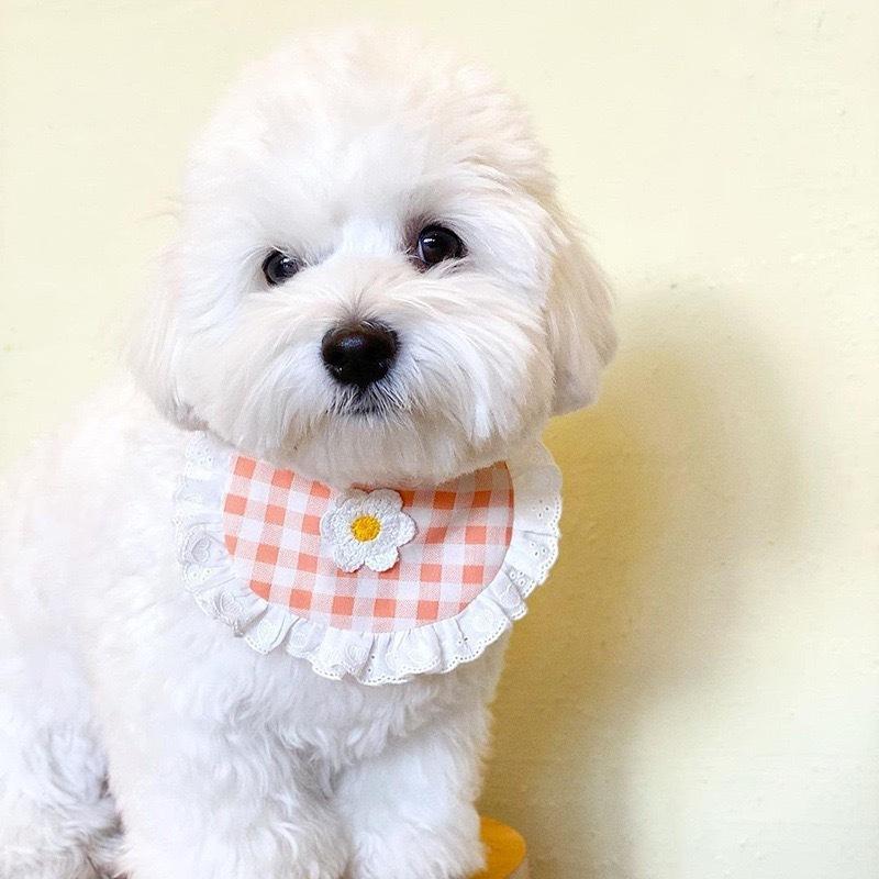 ペット用スタイ よだれかけ ビブ ペット用品 犬 猫 フラワー 花 レース