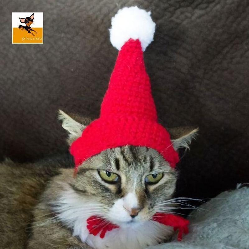 ペット用 猫用 犬用 帽子 2021新入荷 ニット帽 ニットキャップ トンガリ帽子 本物品質の ボンボン付き クリスマス ポンポン付き 寒さ対策 暖 防寒 コスプレ コスチューム