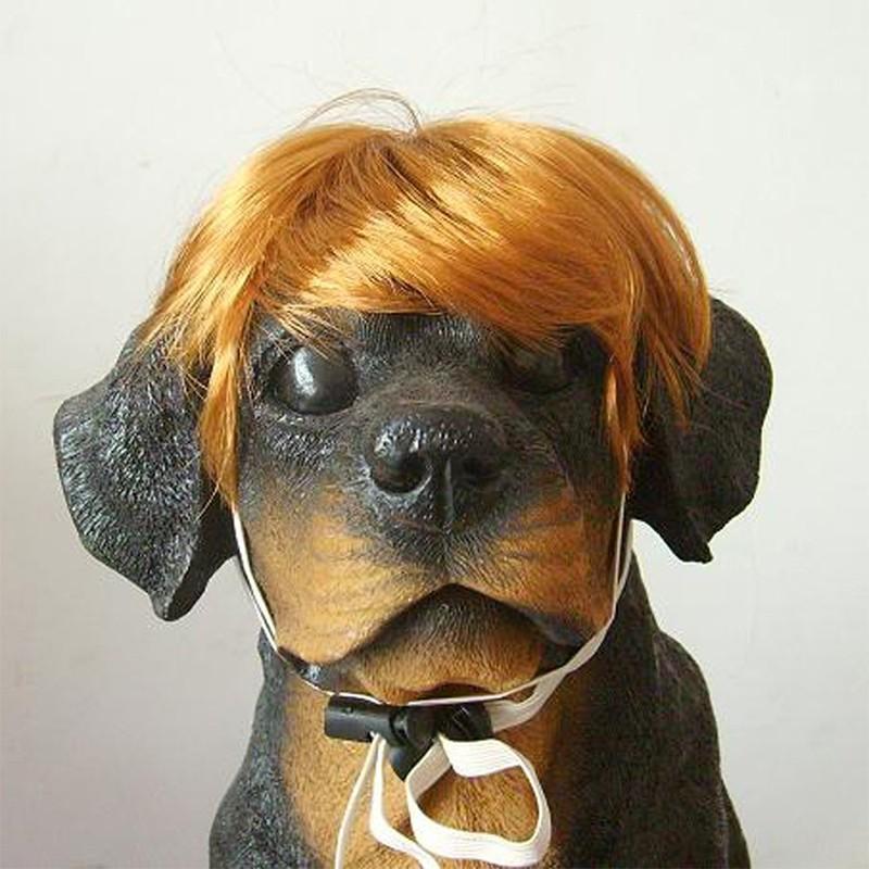ペット用 ウィッグ かつら コスプレ コスチューム 仮装 変装 犬 愛犬 ペット ペット用品 ドックウェア 可愛い かわいい おもしろ ハロウィン パ プラスナオ Paypayモール店 通販 Paypayモール