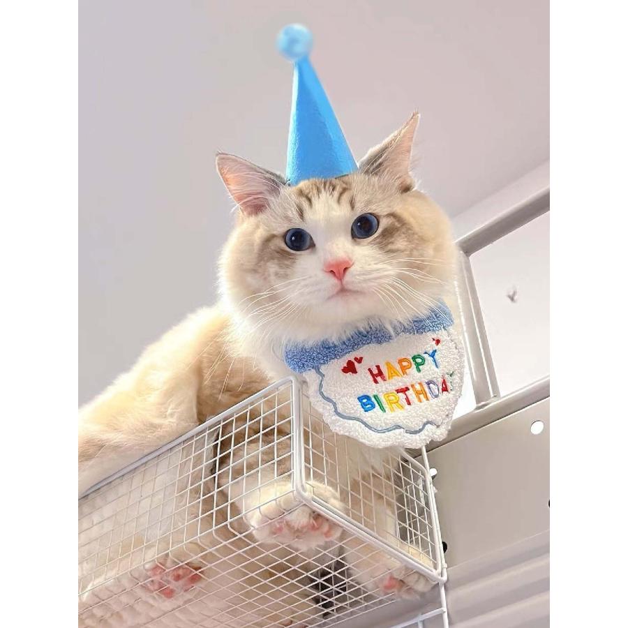 ペット用 バースデースタイ 帽子 ２点セット 犬 猫 誕生日 ビブ