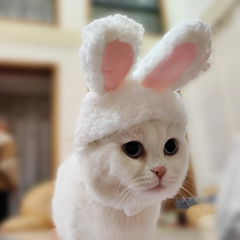 ペット用帽子 コスプレ 猫用 犬用 小型犬 かぶり物 ペット用品 うさ耳