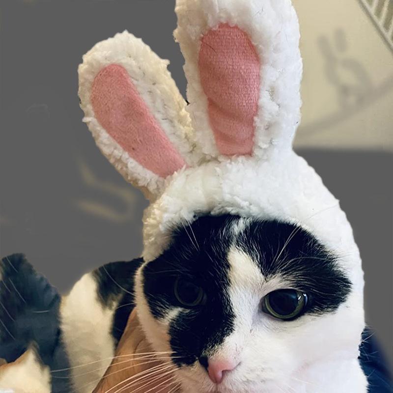ペット用帽子 コスプレ 猫用 犬用 小型犬 かぶり物 ペット用品 うさ耳