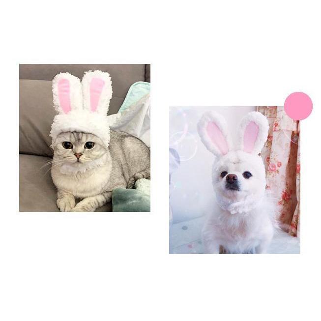 ペット用 被り物 帽子 小型犬 猫 キャップ 2個セット うさ耳 変身 猫犬兼用 plusnao ペット用帽子 コスプレ 猫用 犬用 小型犬 かぶり物