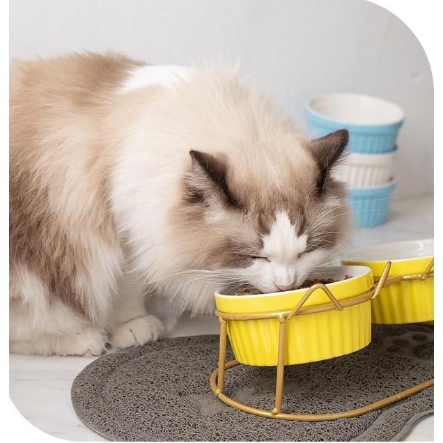 130H05 猫犬 フードボウル ペット 食器 餌入れ 水 オシャレ 3個セット 楽天市場】猫 犬 食器 フードボウル エサ入れ ペット ペット