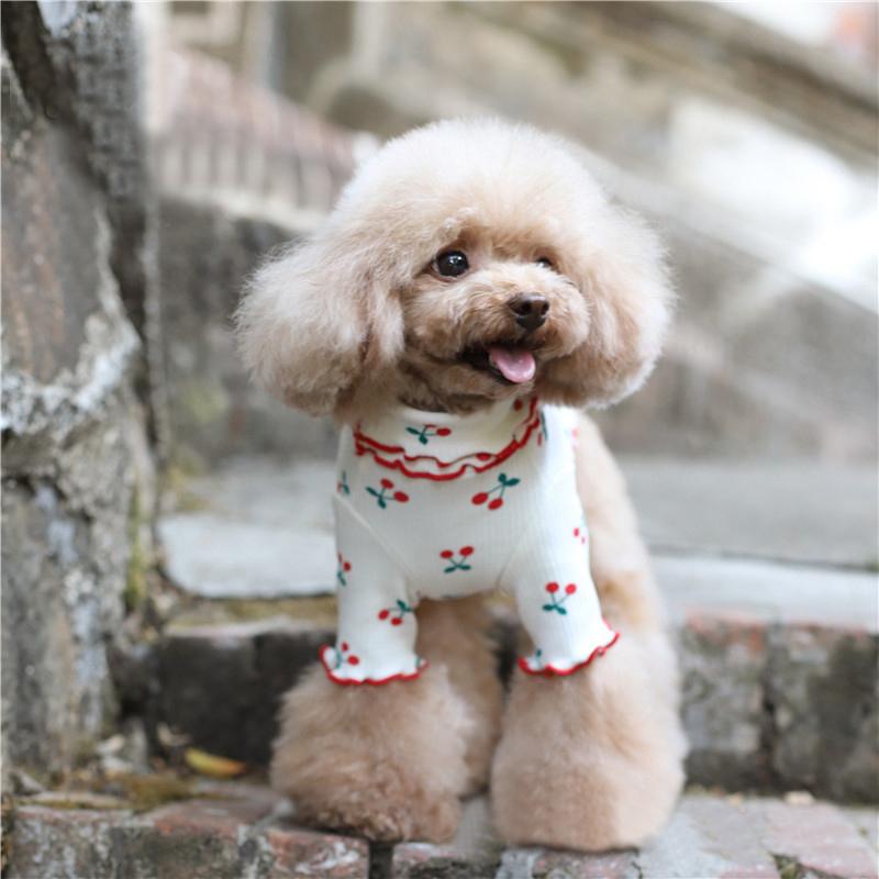 ドッグウェア ペットウェア カットソー 犬の服 犬服 洋服 ペット用品 小型犬 半袖 サクランボ柄 襟付き リブ メロウフリル お散歩 お出かけ おし Pet プラスナオyahoo 店 通販 Yahoo ショッピング
