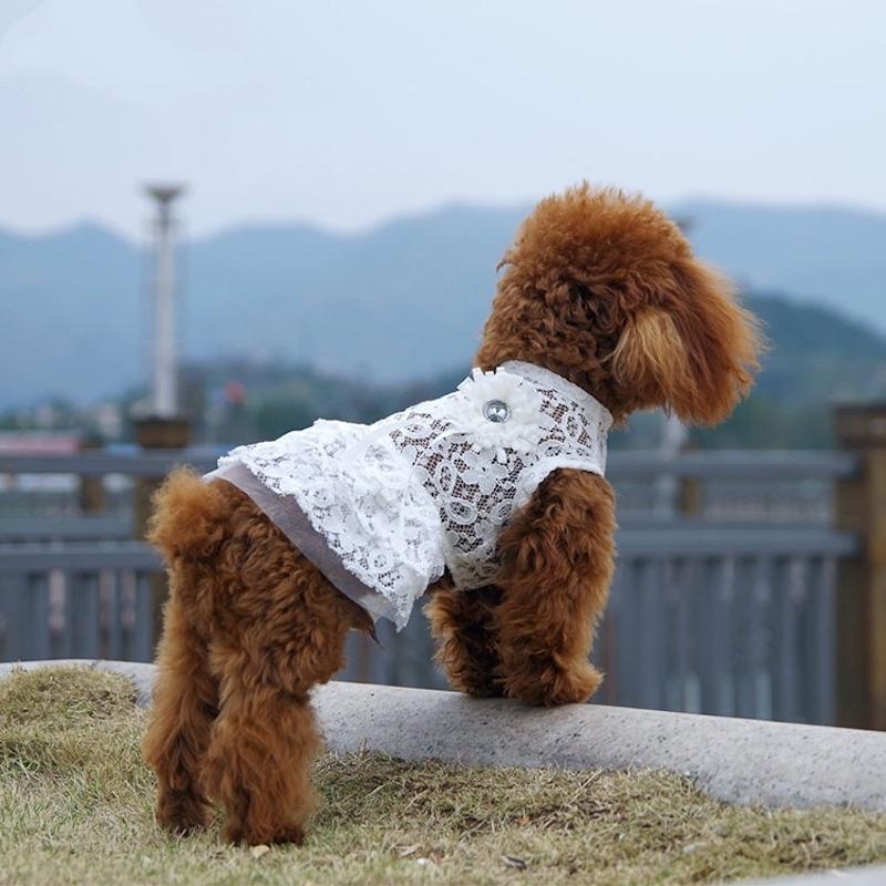 スーパーセール ペットウェア ワンピース 犬服 猫服 犬用ウェア ドッグウェア 黒 白 ピンク レース フリル チュール メッシュ 花 可愛い おしゃれ お散歩 記念7円 Aynaelda Com