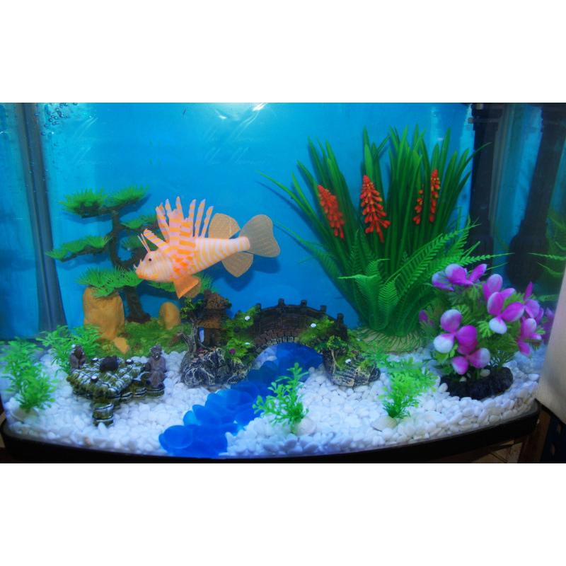 レイアウトストーン 飾り石 テトラ 熱帯魚 水槽 置物 装飾 アクアリウム かわいい おしゃれ カラフル 透明 濁り ２種類 Pet プラスナオyahoo 店 通販 Yahoo ショッピング