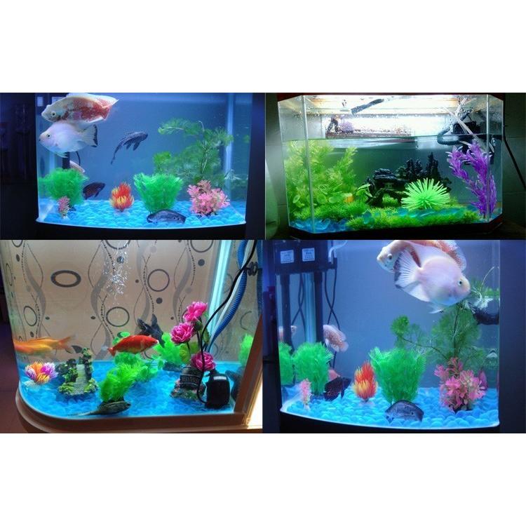 レイアウトストーン 飾り石 テトラ 熱帯魚 水槽 置物 装飾 アクアリウム かわいい おしゃれ カラフル 透明 濁り ２種類 Pet プラスナオyahoo 店 通販 Yahoo ショッピング