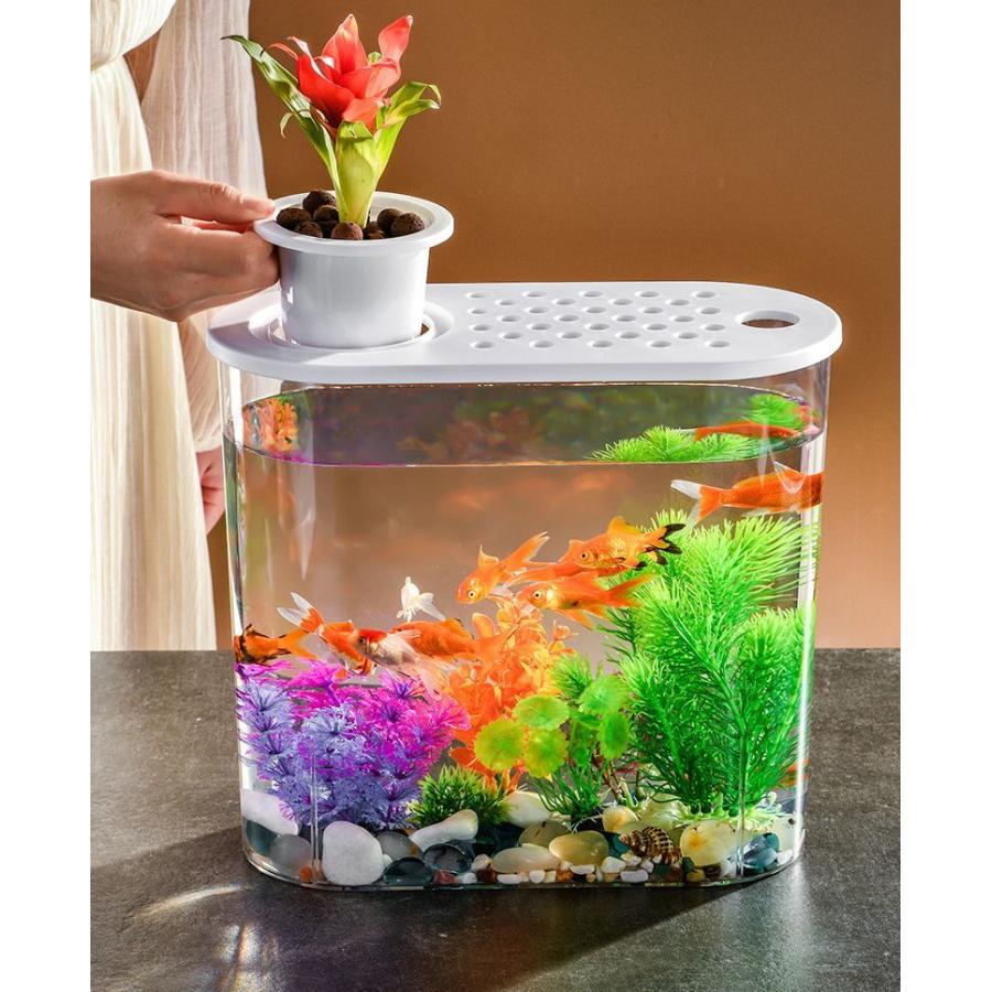 水槽 金魚鉢 飼育水槽 ペット ペットグッズ 熱帯魚 アクアリウム