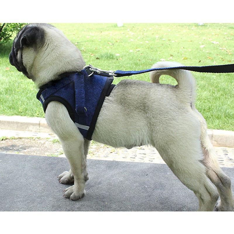 卸直営 リード ハーネス 2点セット ペットグッズ ペット用品 犬用 リーシュ 散歩紐 お散歩グッズ お出かけ 牽引紐 コーデュロイ素材 おしゃれ いぬ 小型 Shipsctc Org