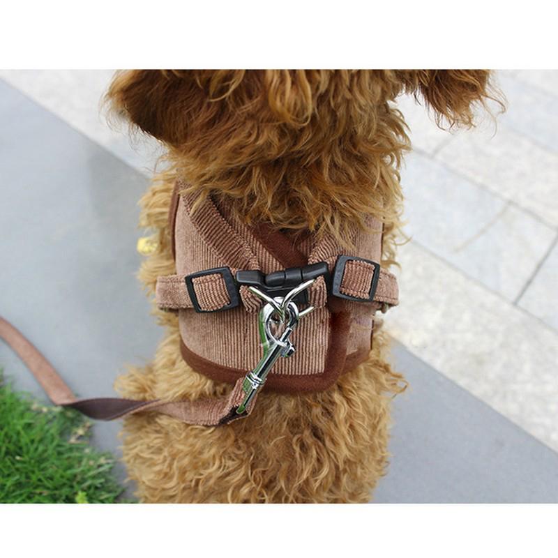 卸直営 リード ハーネス 2点セット ペットグッズ ペット用品 犬用 リーシュ 散歩紐 お散歩グッズ お出かけ 牽引紐 コーデュロイ素材 おしゃれ いぬ 小型 Shipsctc Org