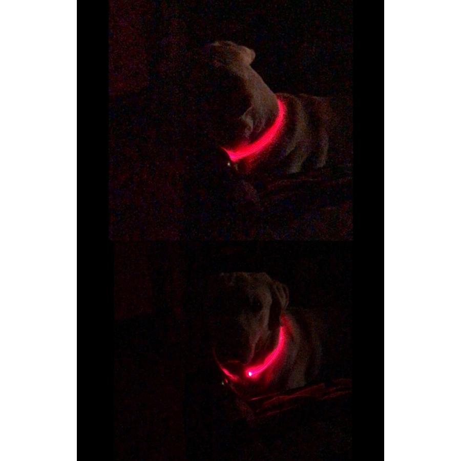 犬用チョーカー 首輪 LEDライト チューブ 光る USB充電式 ペット用品 アクセサリー ドッグ お散歩 夜間 お出掛け 安全対策 おしゃれ かわい｜plusnao｜09
