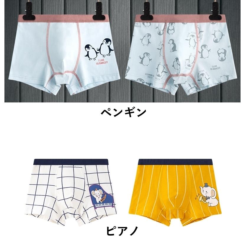 ボクサーパンツ 2枚セット パンツ キッズ ジュニア 子供用 男の子 下着