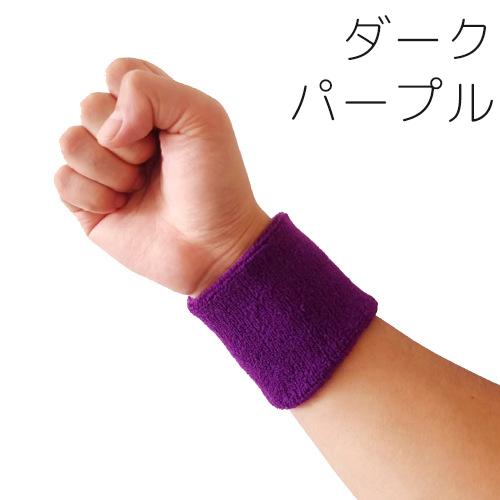 plusnao（プラスナオ） リストバンド 2個セット 両腕用 アームバンド